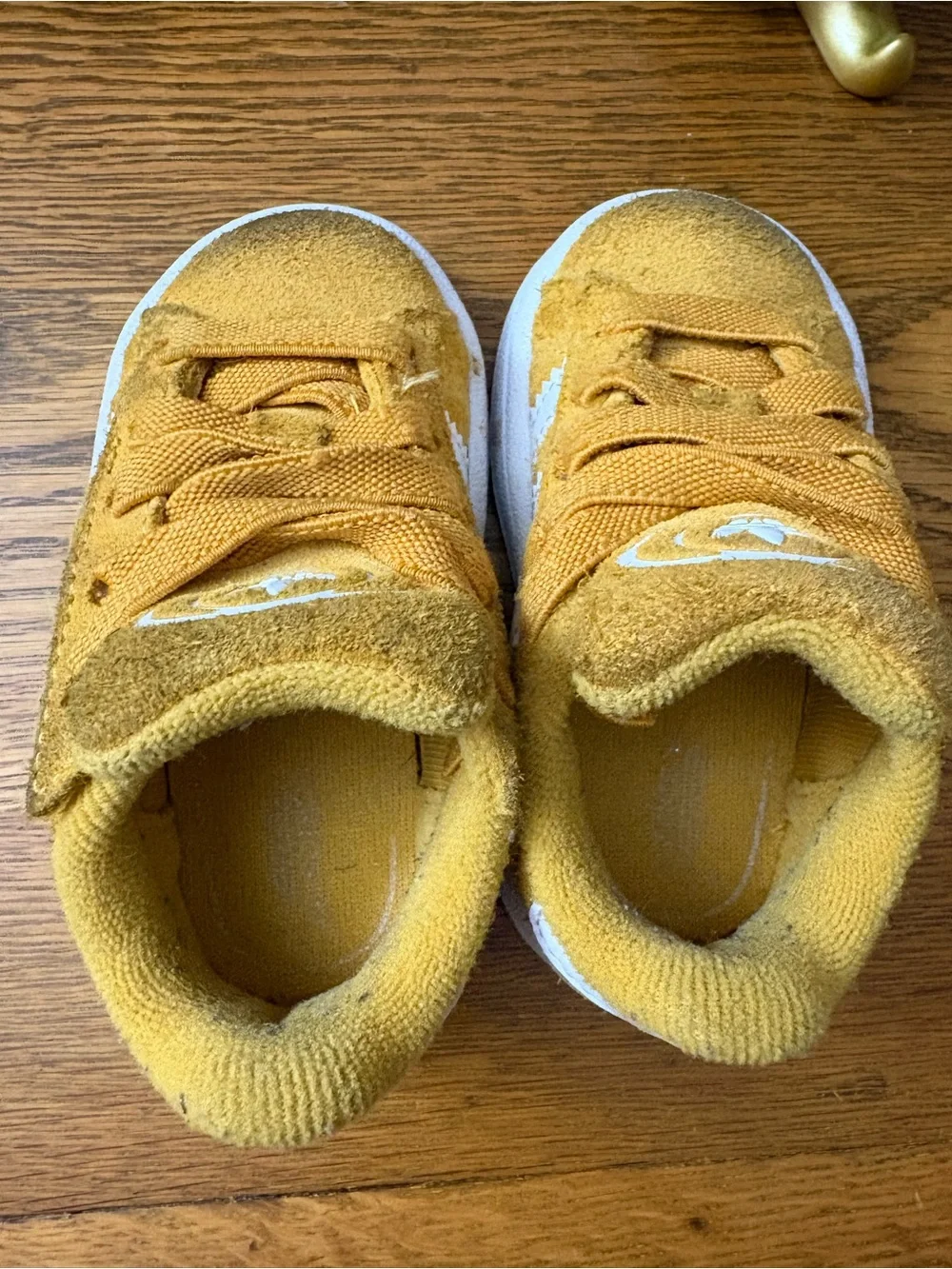 Little kids/Toddler Adidas gold campus sneaks. Size 5.